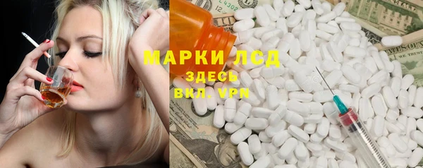 ECSTASY Алзамай