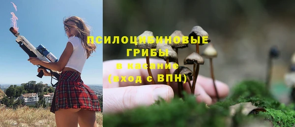 spice Алексеевка
