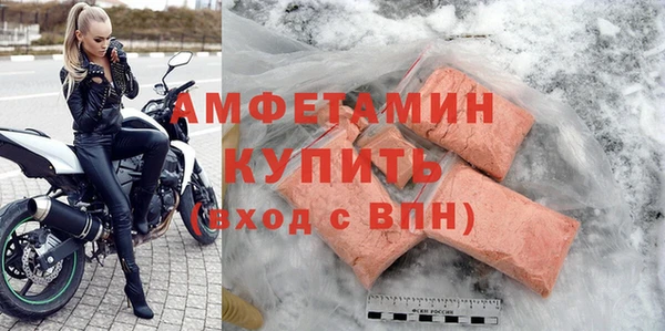 ECSTASY Алзамай