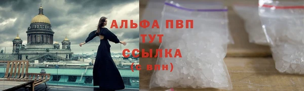 винт Алексин