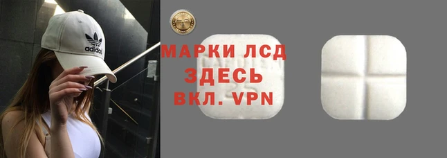 spice Алексеевка