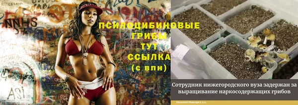 ECSTASY Алзамай