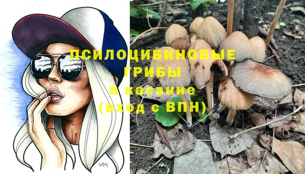 spice Алексеевка
