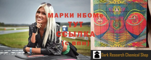 ECSTASY Алзамай