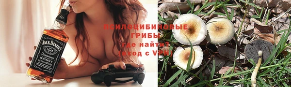 spice Алексеевка