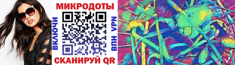 darknet клад  Пустошка  Галлюциногенные грибы Cubensis  закладки 