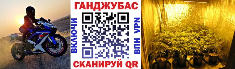 Конопля White Widow  как найти наркотики  Пустошка 
